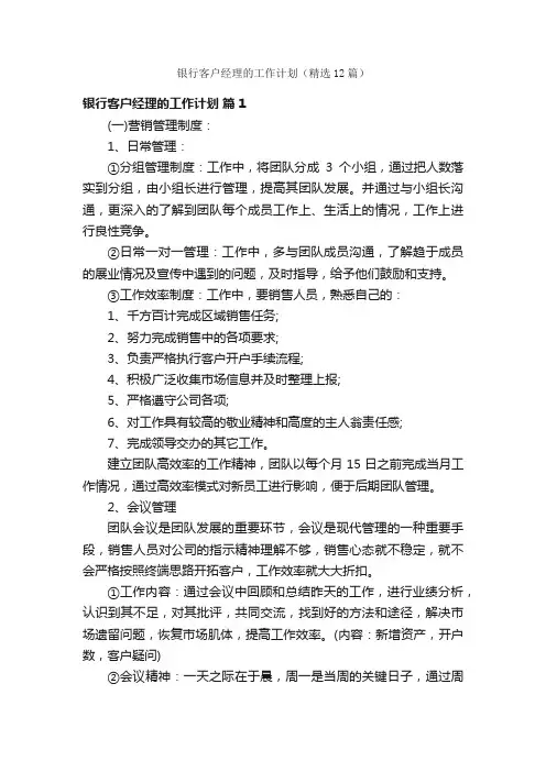 银行客户经理的工作计划（精选12篇）