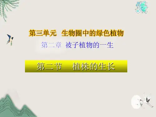 永康市六月上旬七年级生物上册 3.2.2 植株的生长课件 新版新人教版
