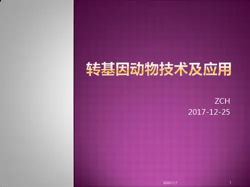 转基因应用PPT课件