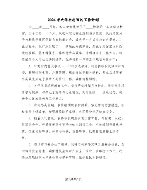 2024年大学生村官的工作计划(2篇)