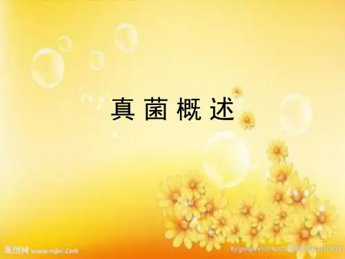 微生物  真菌