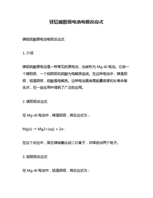 镁铝硫酸原电池电极反应式