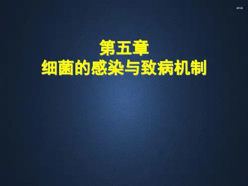 细菌和病毒感染与致病机制  ppt课件