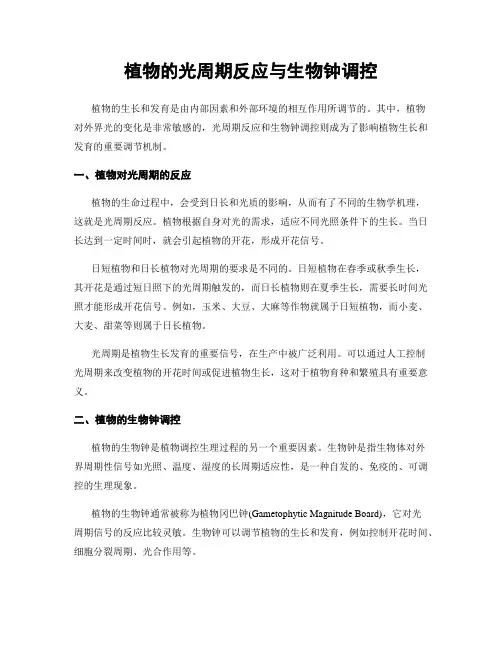 植物的光周期反应与生物钟调控