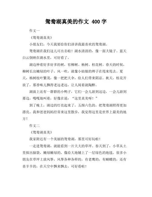 鸳鸯湖真美的作文 400字