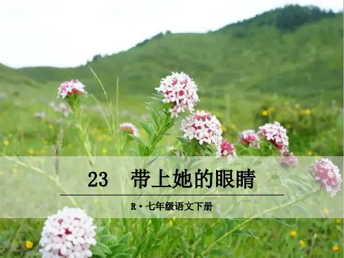 部编版七年级语文下册23 带上她的眼睛 PPT公开课课件 (精编)-最新