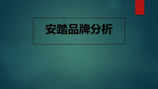 安踏品牌案例分析