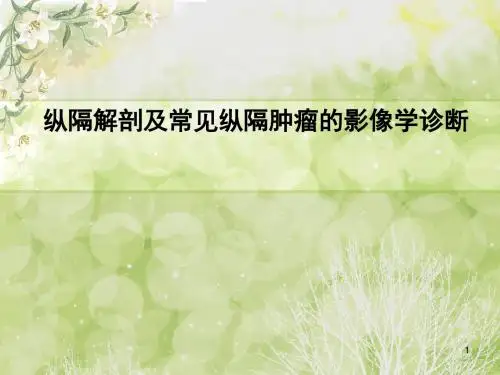 纵隔解剖及常见纵隔肿瘤影像学诊断ppt课件
