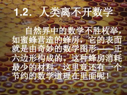 七年级数学上册12人类离不开数学新版华东师大版