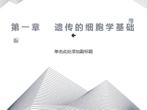 遗传学第1章遗传的细胞学基础