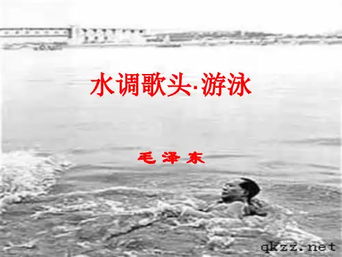 水调歌头·游泳