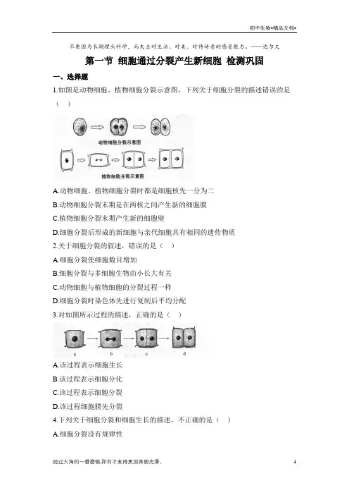 人教版生物七年级上册2.2.1《 细胞通过分裂产生新细胞》同步练(含解析)