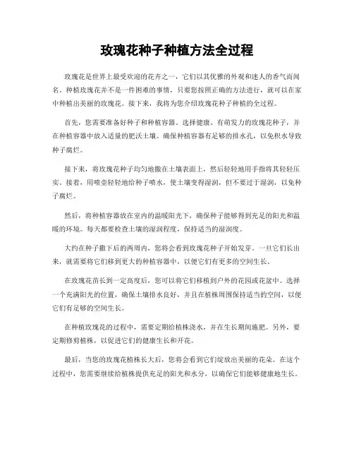 玫瑰花种子种植方法全过程
