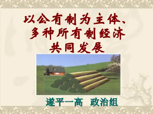 公有制为主体、多种所有制经济共同发展精选教学PPT课件