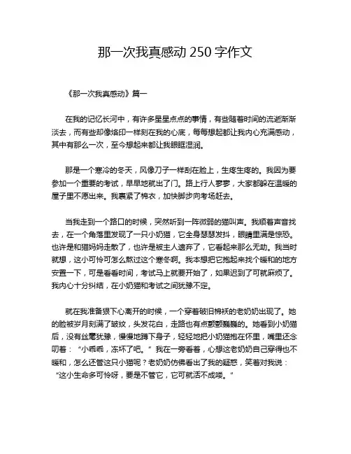 那一次我真感动250字作文
