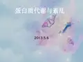 蛋白质的代谢 PPT课件