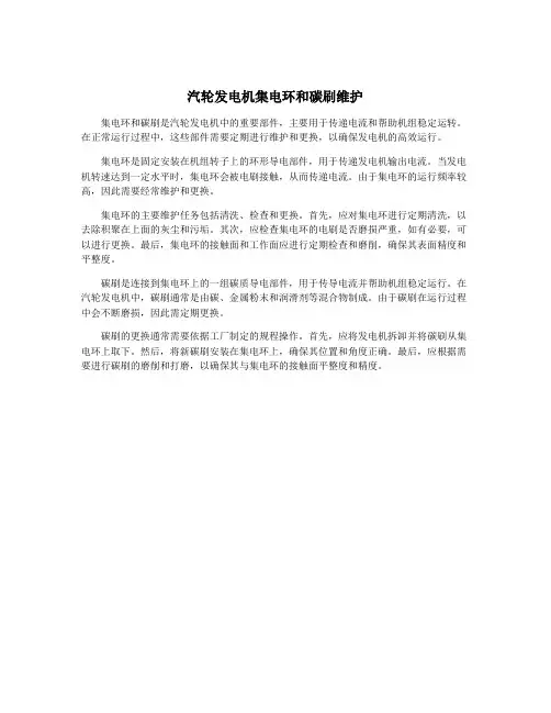 汽轮发电机集电环和碳刷维护