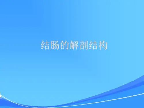 结直肠肛管解剖
