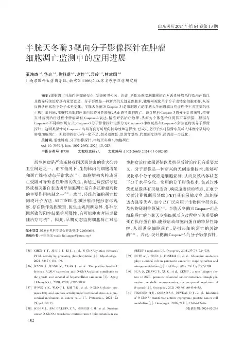 半胱天冬酶3_靶向分子影像探针在肿瘤细胞凋亡监测中的应用进展