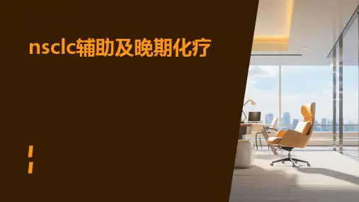 NSCLC辅助及晚期化疗