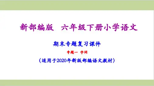 部编人教版六年级下册语文全套期末专项复习课件PPT
