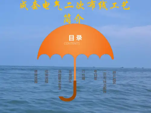 成套开关柜二次布线工艺示范讲解 ppt课件