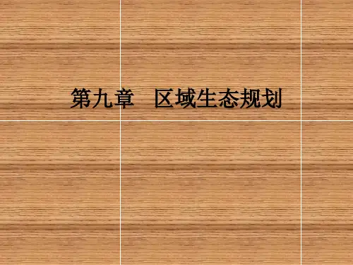 生态规划--理论、方法与应用(二版)第九章   区域生态规