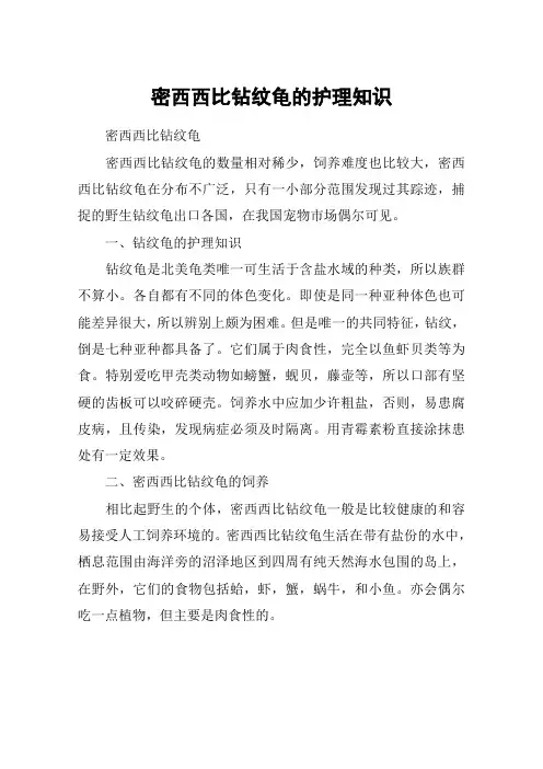 密西西比钻纹龟的护理知识