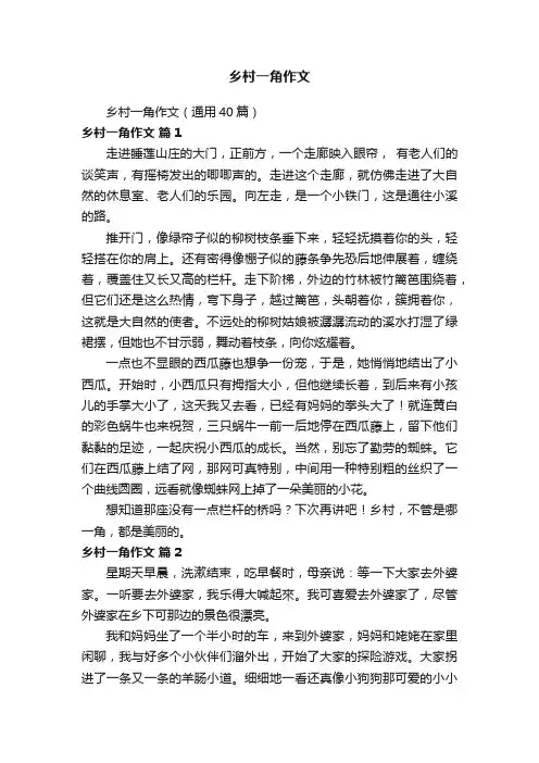 乡村一角作文（通用40篇）