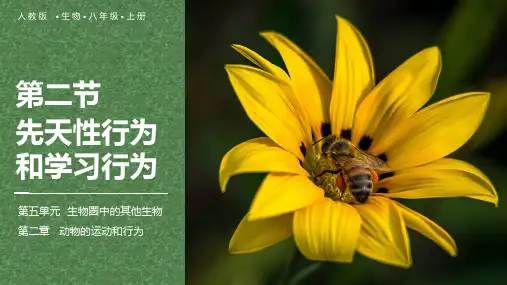 人教版生物八年级上册2.2《先天性行为和学习行为》课件