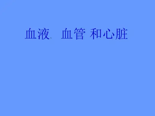 血液血管与心脏课件