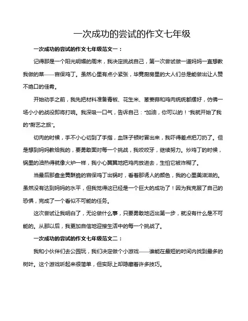 一次成功的尝试的作文七年级