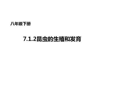 (人教版)八年级生物下册课件：7.1.2昆虫的生殖和发育