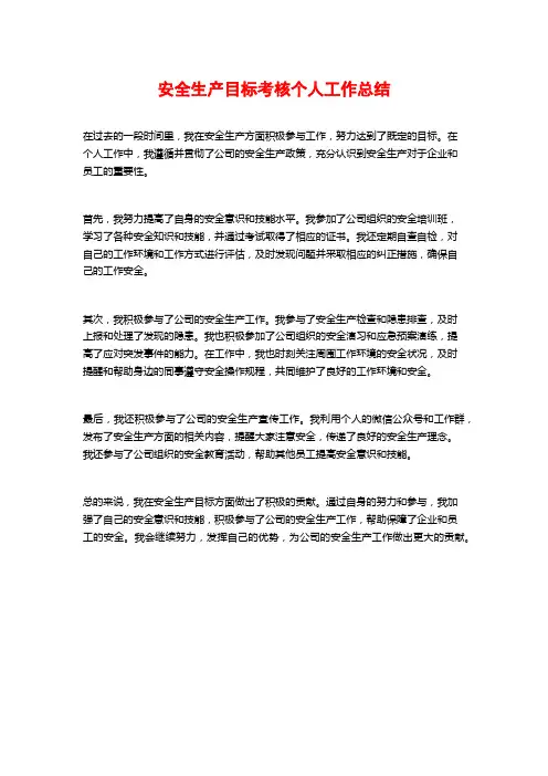 安全生产目标考核个人工作总结