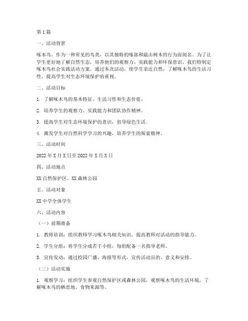 啄木鸟社会实践活动方案(3篇)