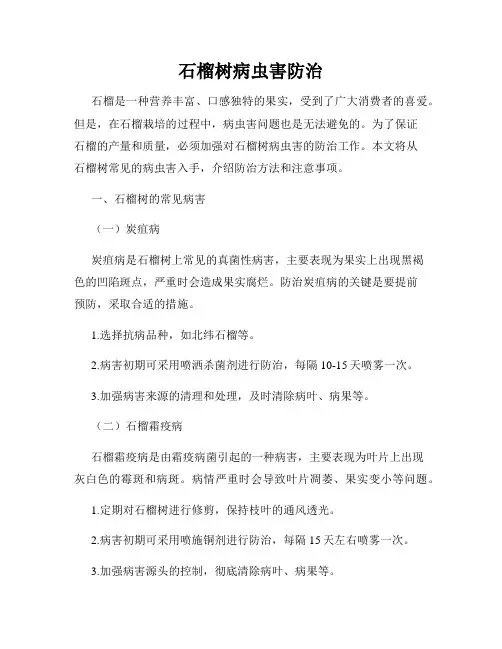 石榴树病虫害防治