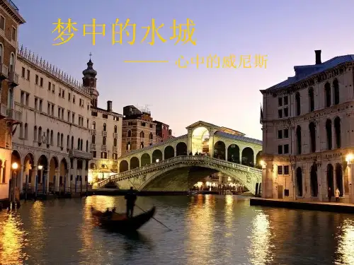 威尼斯风格总结