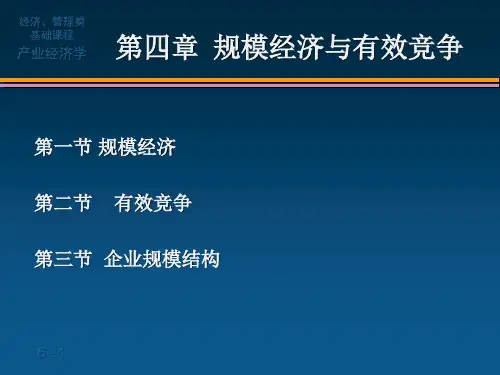 中南林业科技大学《产业经济学》第四章：规模经济与有效竞争.