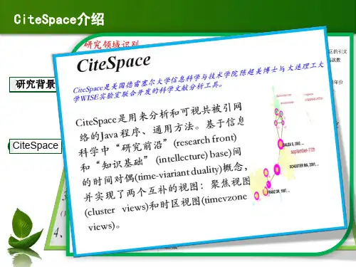 citespace使用及案例应用(PPT文档)