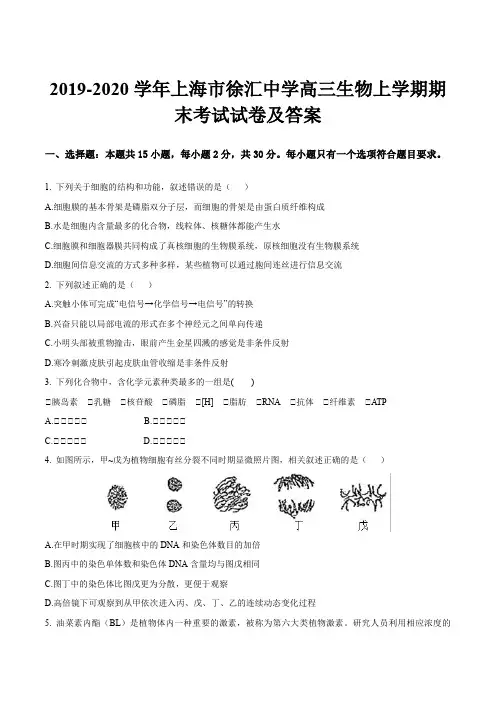 2019-2020学年上海市徐汇中学高三生物上学期期末考试试卷及答案