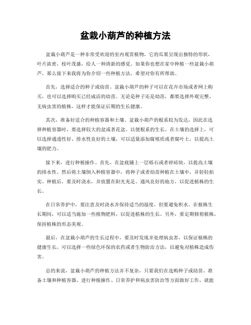 盆栽小葫芦的种植方法