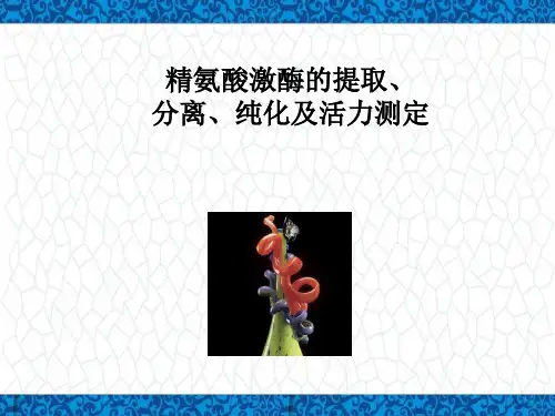 生物化学实验PPT课件：精氨酸激酶的提取、分离、纯化及活力测定