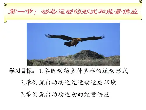 苏教版生物八上17.1 动物的运动形式和能量供应  课件(共19张PPT)