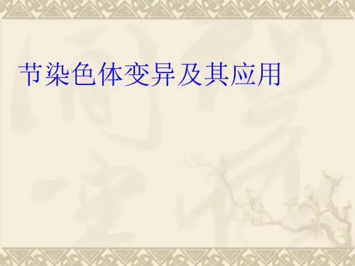 《染色体变异及其应用》PPT课件