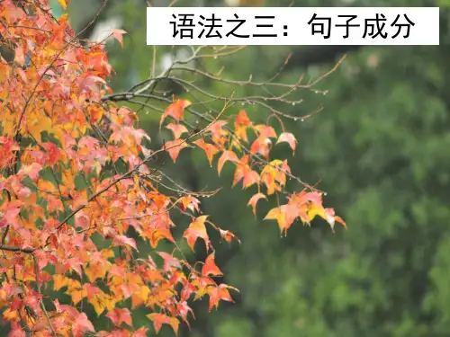 《语法之三：句子成分》教学PPT课件  高中语文专题复习