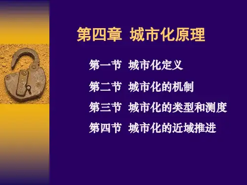 第四章  城市化原理