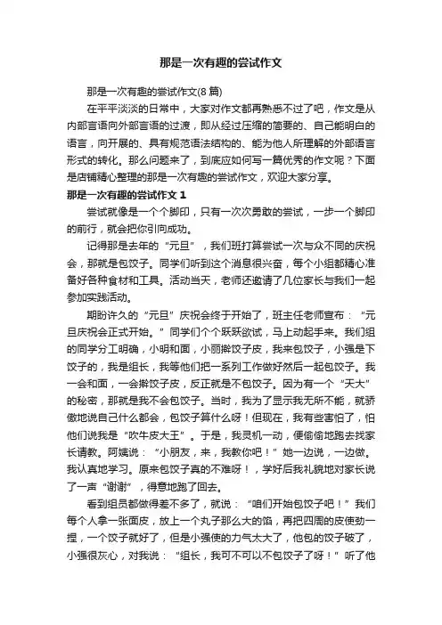 那是一次有趣的尝试作文