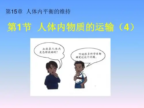 人体的血液循环课件