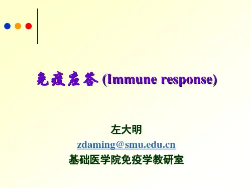 T细胞介导的细胞免疫应答