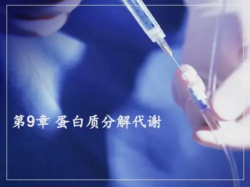 中职生物化学课件第9-10章